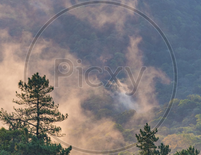 Mountains, Trees, clouds and greenery during sunset