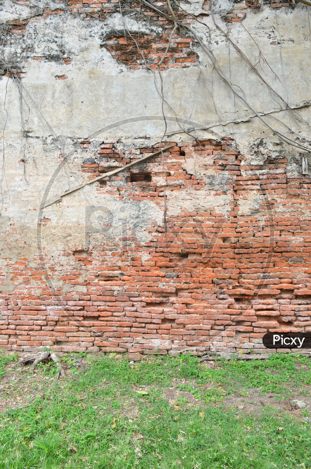Old Ruins Of a Brick Wall With Roots  Forming a background