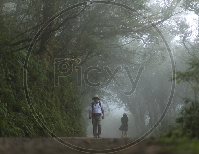 Tourists Taking nature walkways  in Yangmingshan National Park in Taipei, Taiwan