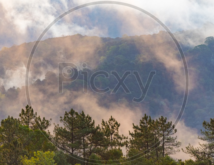 Mountains, Trees, clouds during sunset. Beautiful natural landscape in the summer time