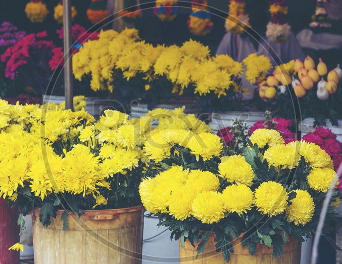 Yellow Chrysanthemum Flowers in a Flower Vendor stall