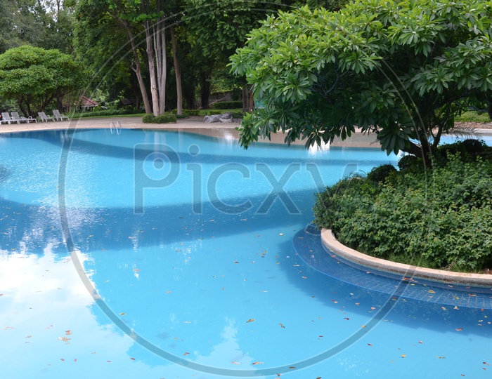 Swimming Pool With resting Chairs