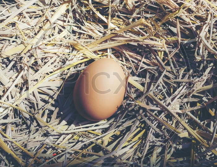Easter Eggs  With Vintage Filter