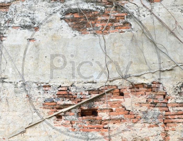 Old Ruins Of a Brick Wall With Roots  Forming a background