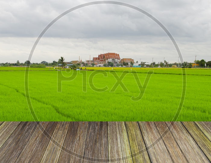 Illustration Of Rice Fields And Wooden Table