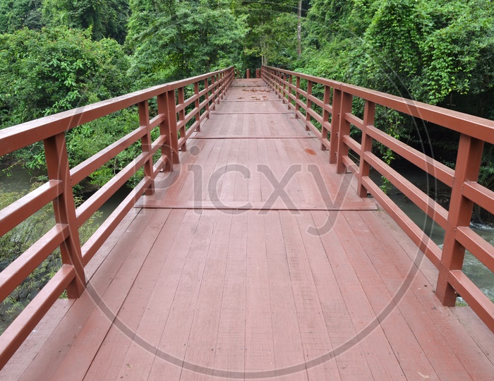 Wooden Bridge Built Into Jungle  in Khao Yai national Park With Trees On both Sides