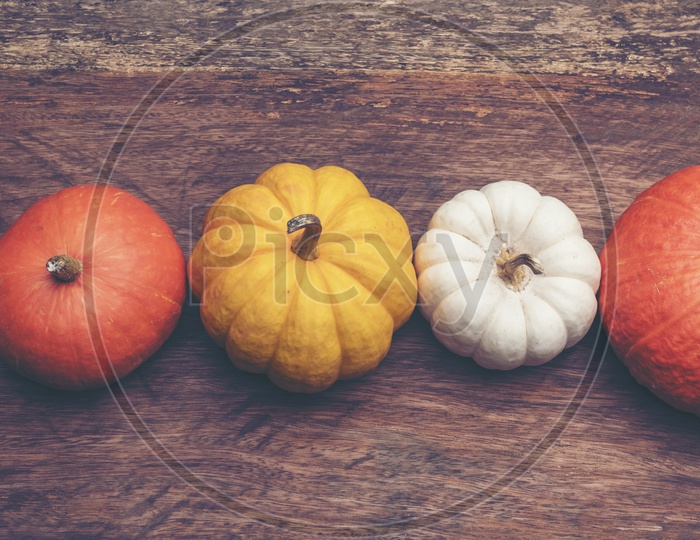 Colorful pumpkins on wooden background, top view