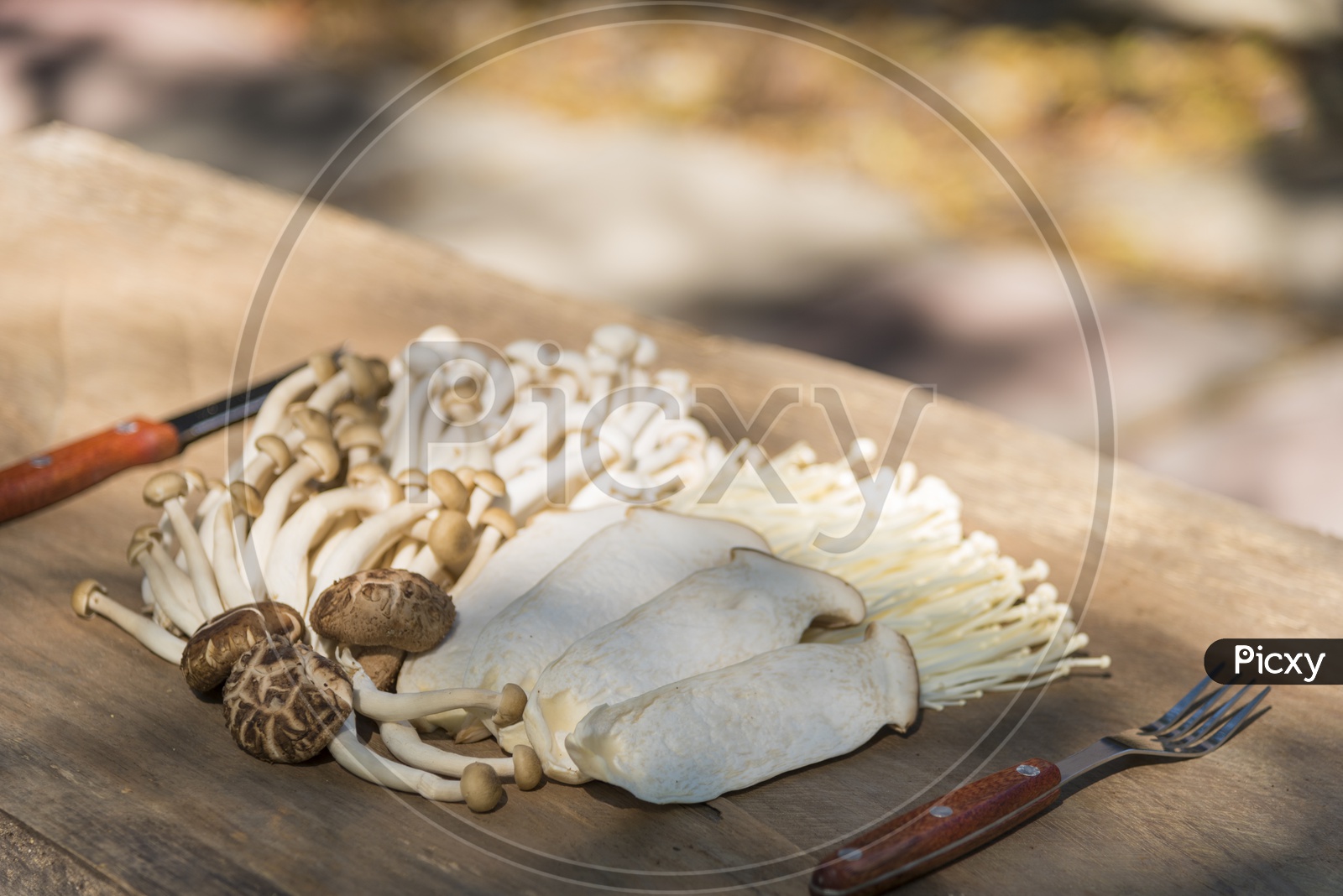 Processed mushrooms on a wooden background