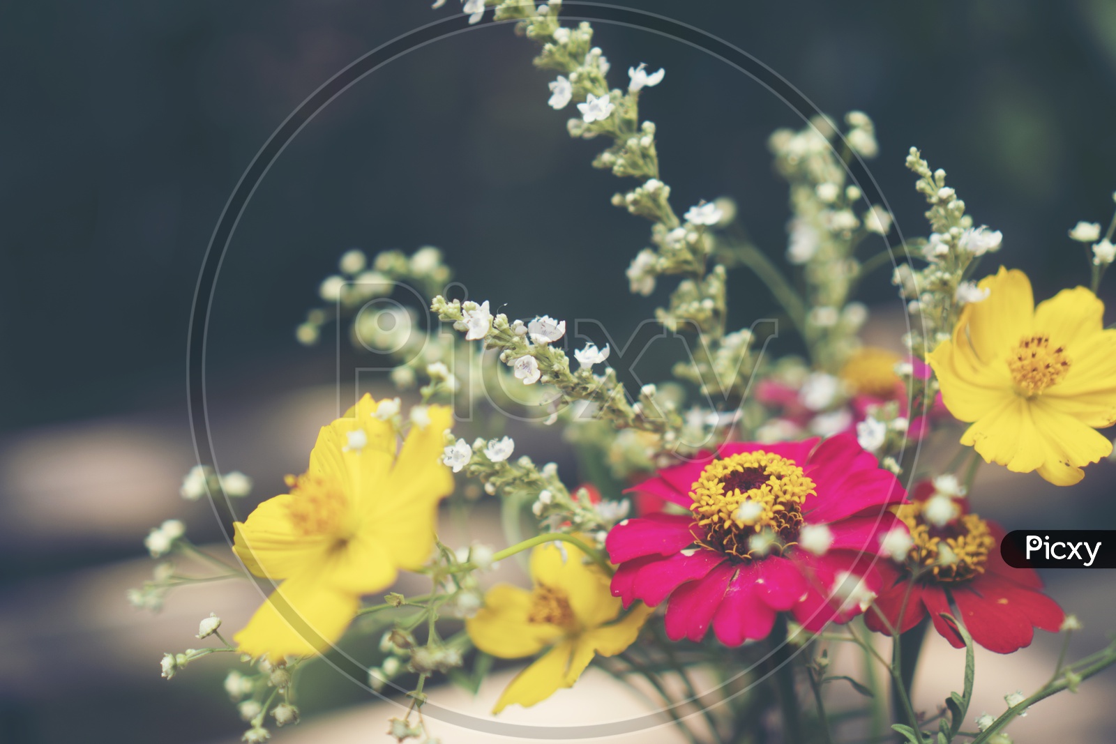 Fresh colourful Flowers in a Flower Vase Closeup