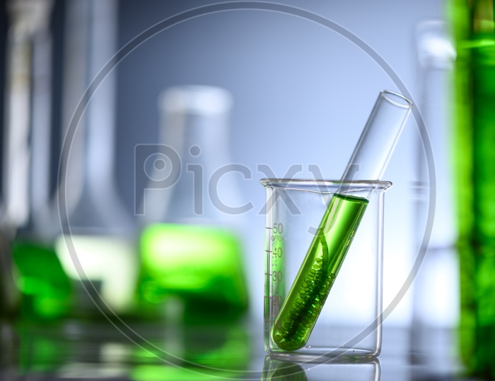 Close up of Algae biofuel in test tube and funnels in biotech laboratory, Photobioreactor algae fuel research in biofuel industrial laboratories