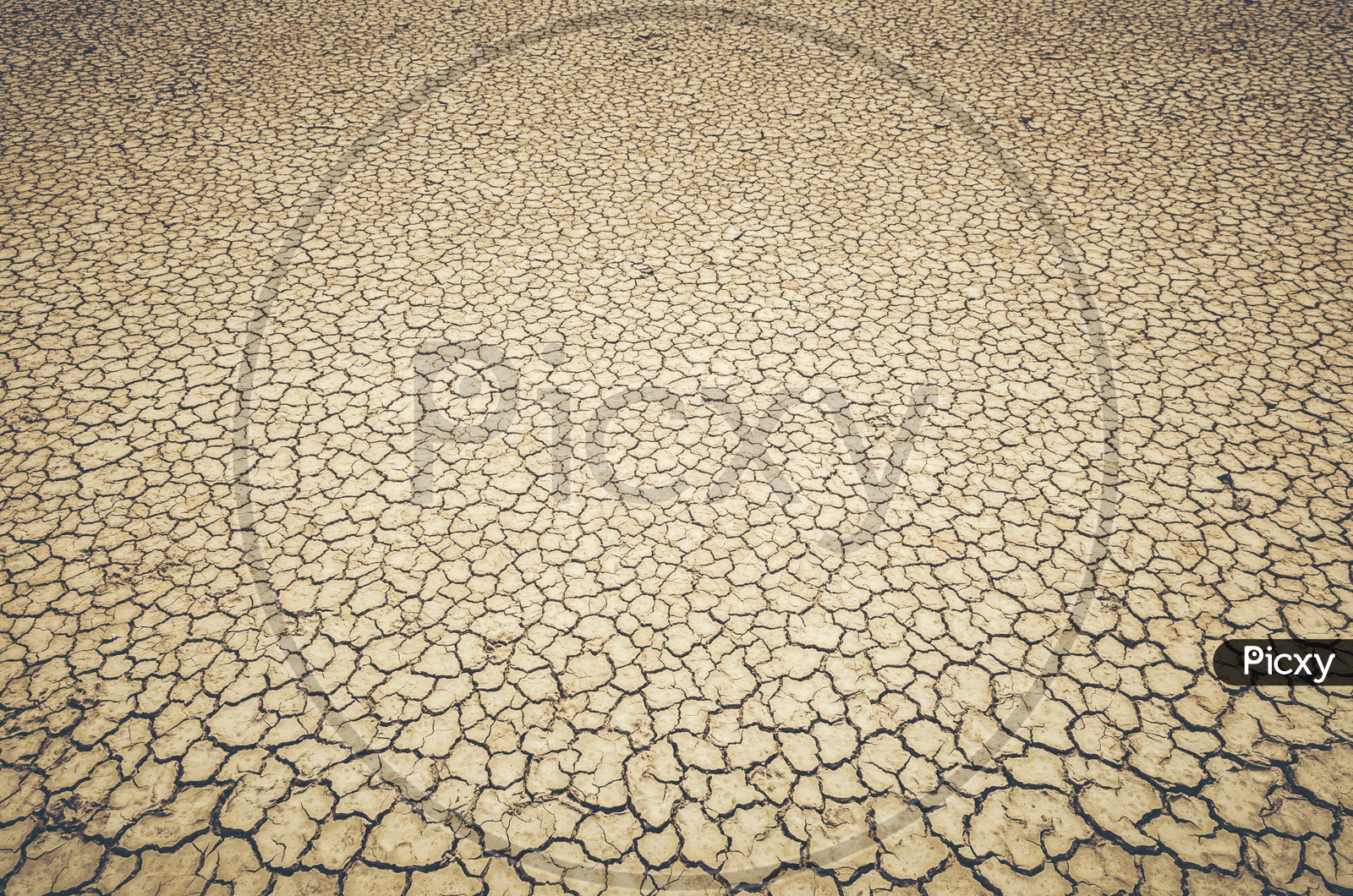 Drought Land With Dry Cracked Soil Texture