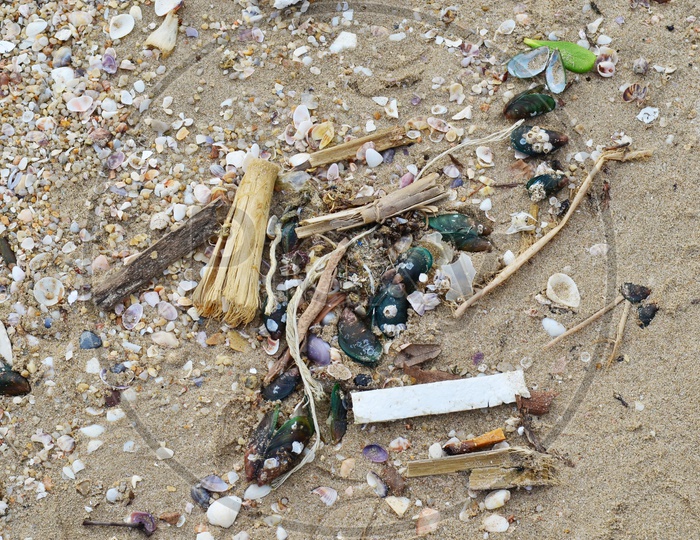 Garbage from the ocean at the beach