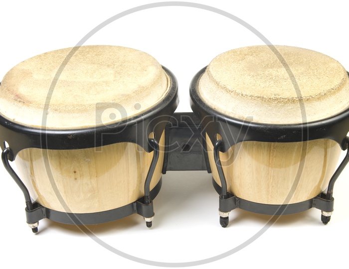 bongo Drum  on a white background