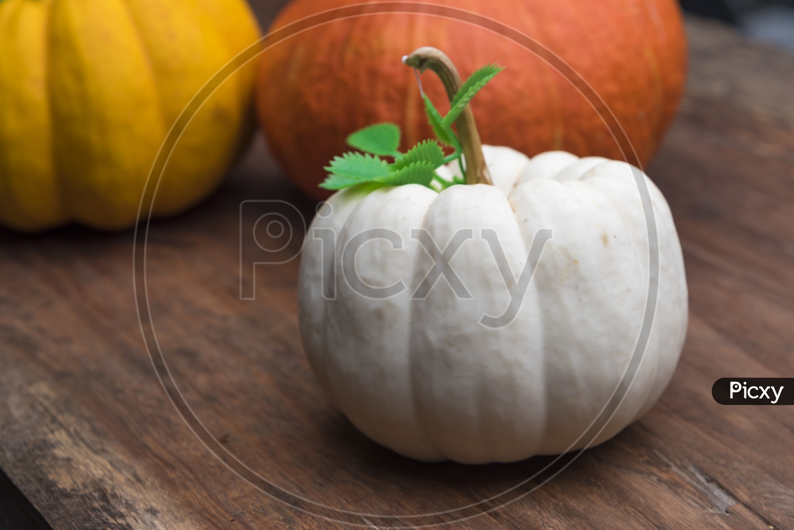Raw pumpkins on wooden table background