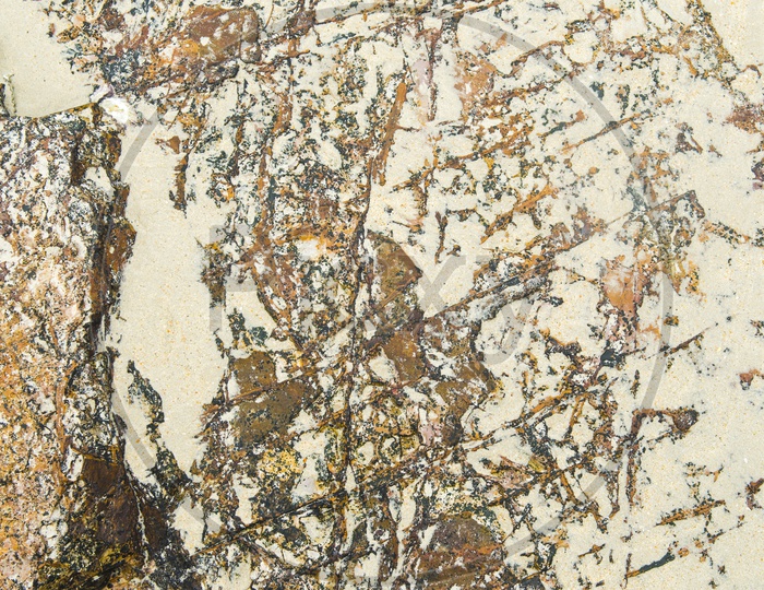 Texture Of a Corrosive Marble Stone Closeup Forming a Background