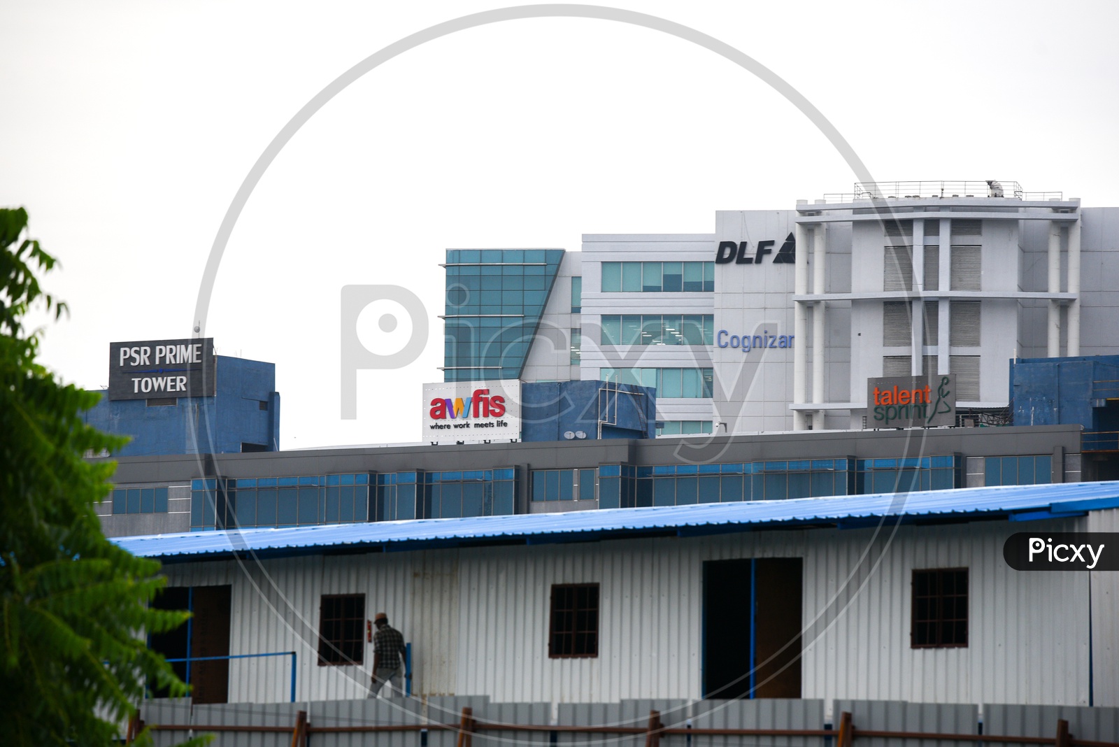 DLF   Building Hyderabad  View Corporate Office Names