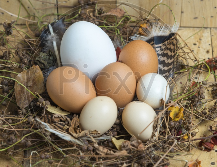Bunch Of Easter Eggs In a Basket  Over Wooden Background