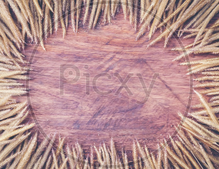 Abstract vintage texture background of wood and dry flowers