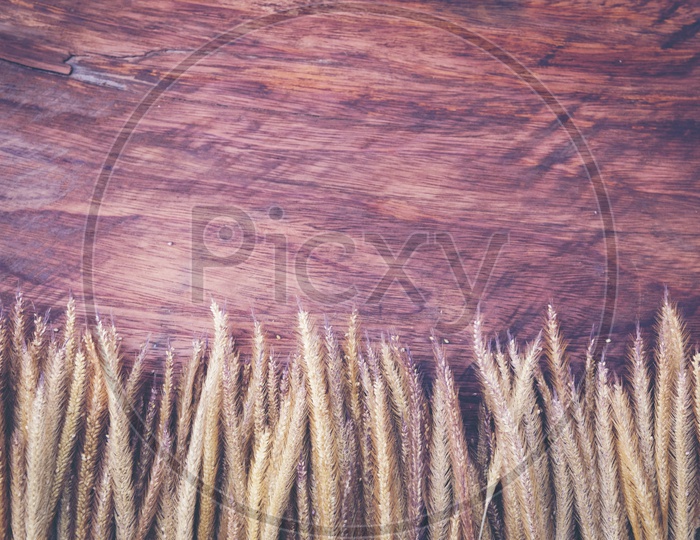 abstract vintage texture background of wood and dry flowers