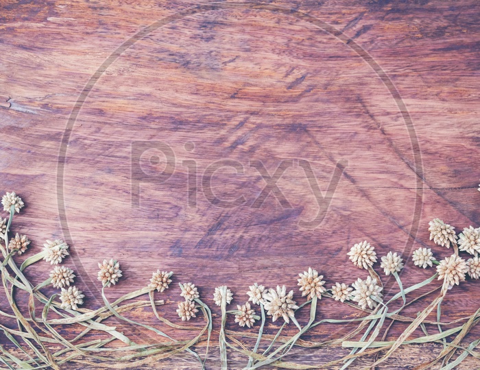 Dry grass and flowers frame on wood background