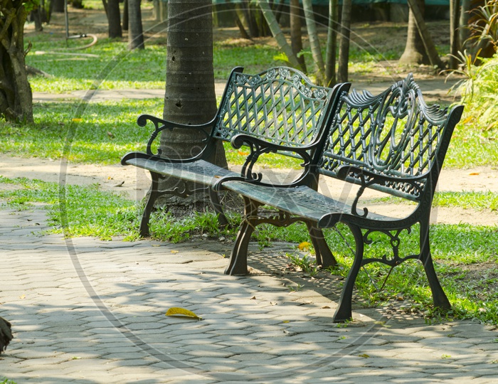 Chair in a Park Or garden