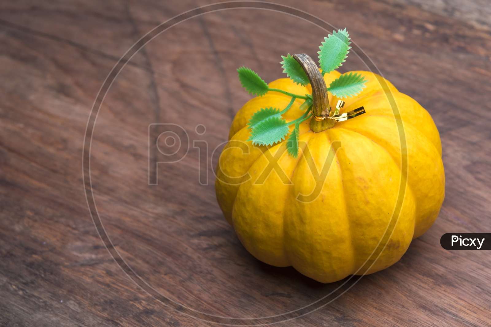 Yellow pumpkin on wooden table background