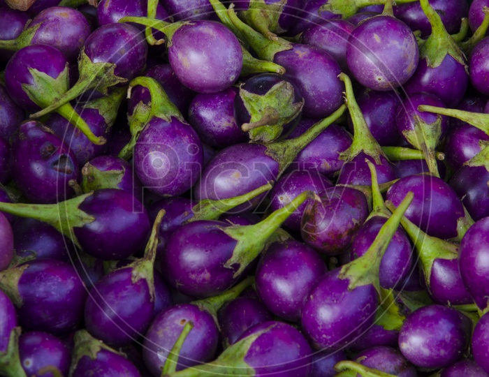 Eggplant or Brinjal Closeup