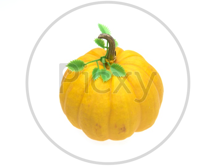 Close up of small yellow pumpkin isolated on white background