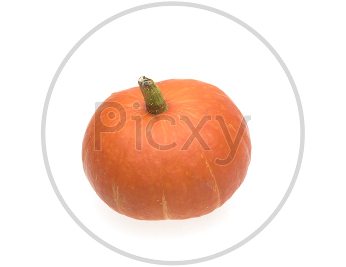 Close up of small orange pumpkin isolated on white background