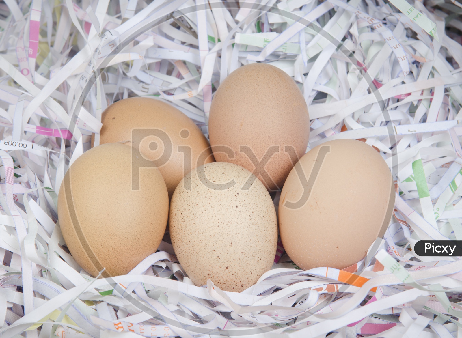 Bunch of Eggs Closeup