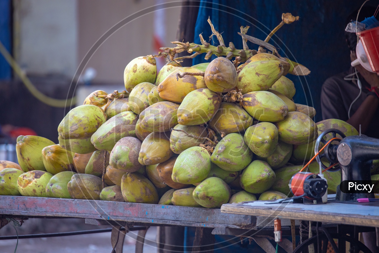 Coconuts Selling at a Vendor Stall