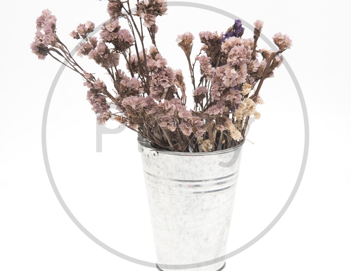 Dry flowers in metal vase isolated on white background