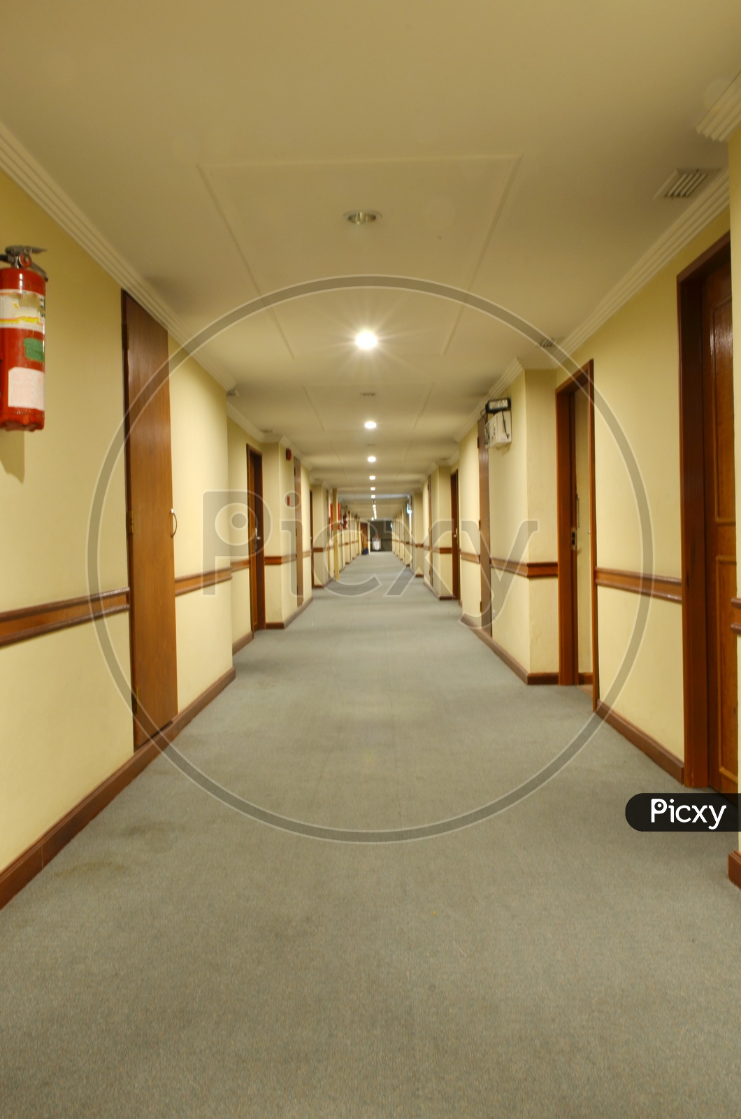 Hotel Corridor With Carpet
