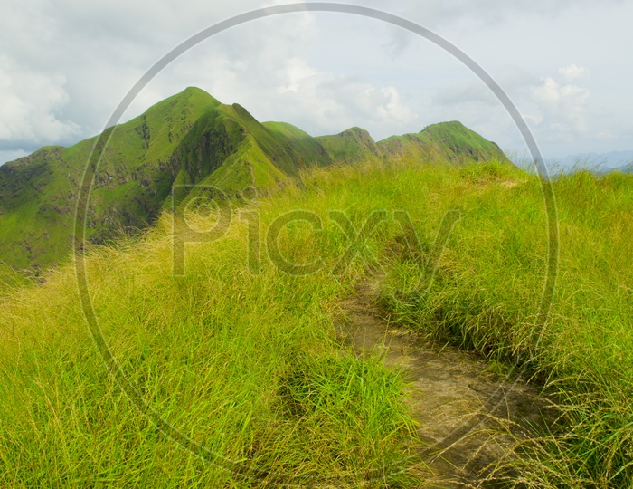 Green Mountains landscape With Pathways For Trekkers