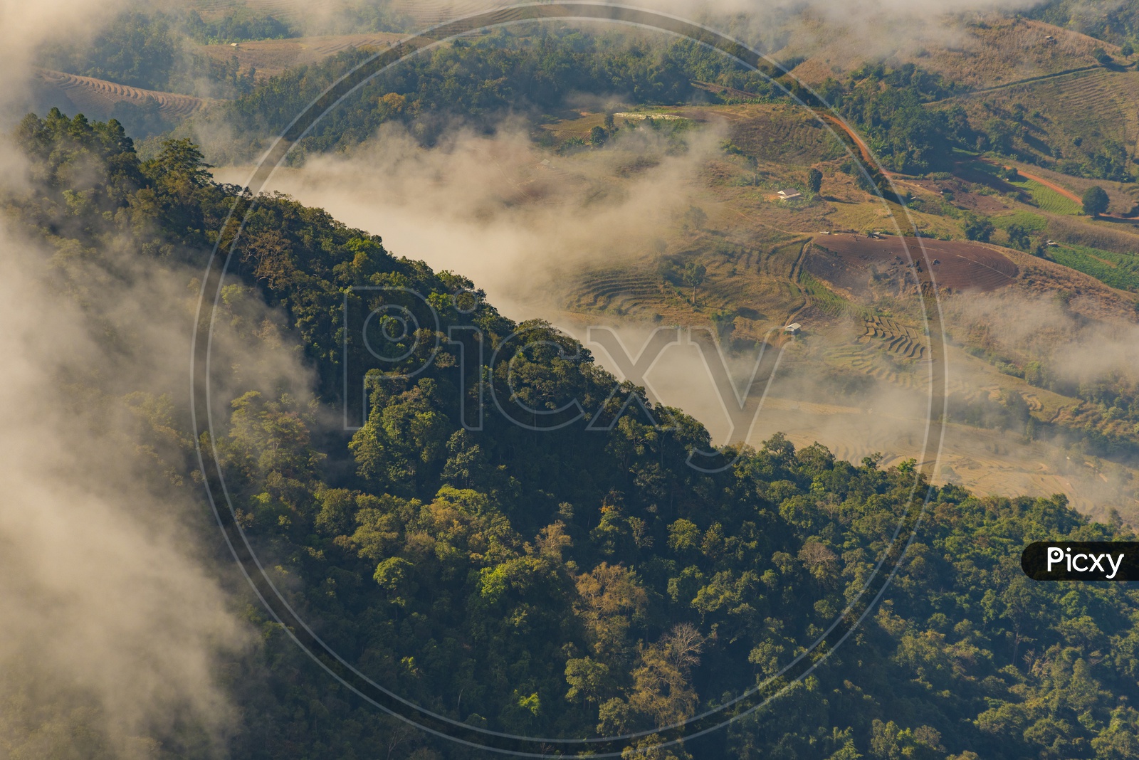 Bird eyes view of Forest of tropical Trees, Fog create mystic Atmosphere on a mountain