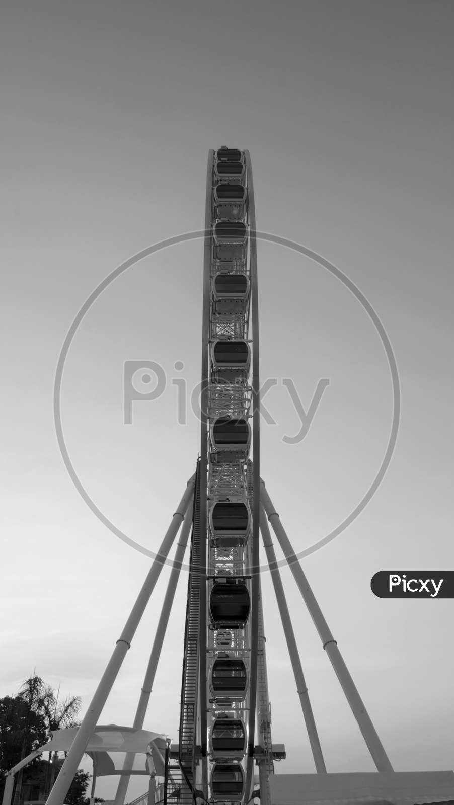 Beautiful large Ferris wheel in black and white Color