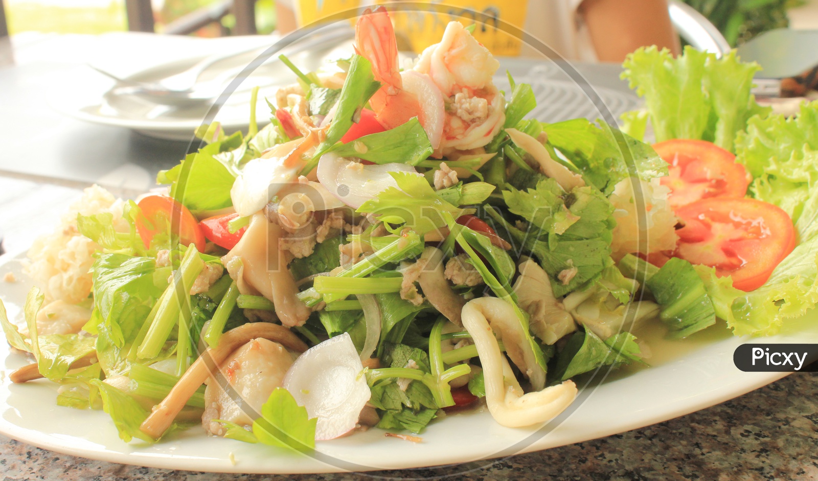 Thai Style Spicy Pork Salad