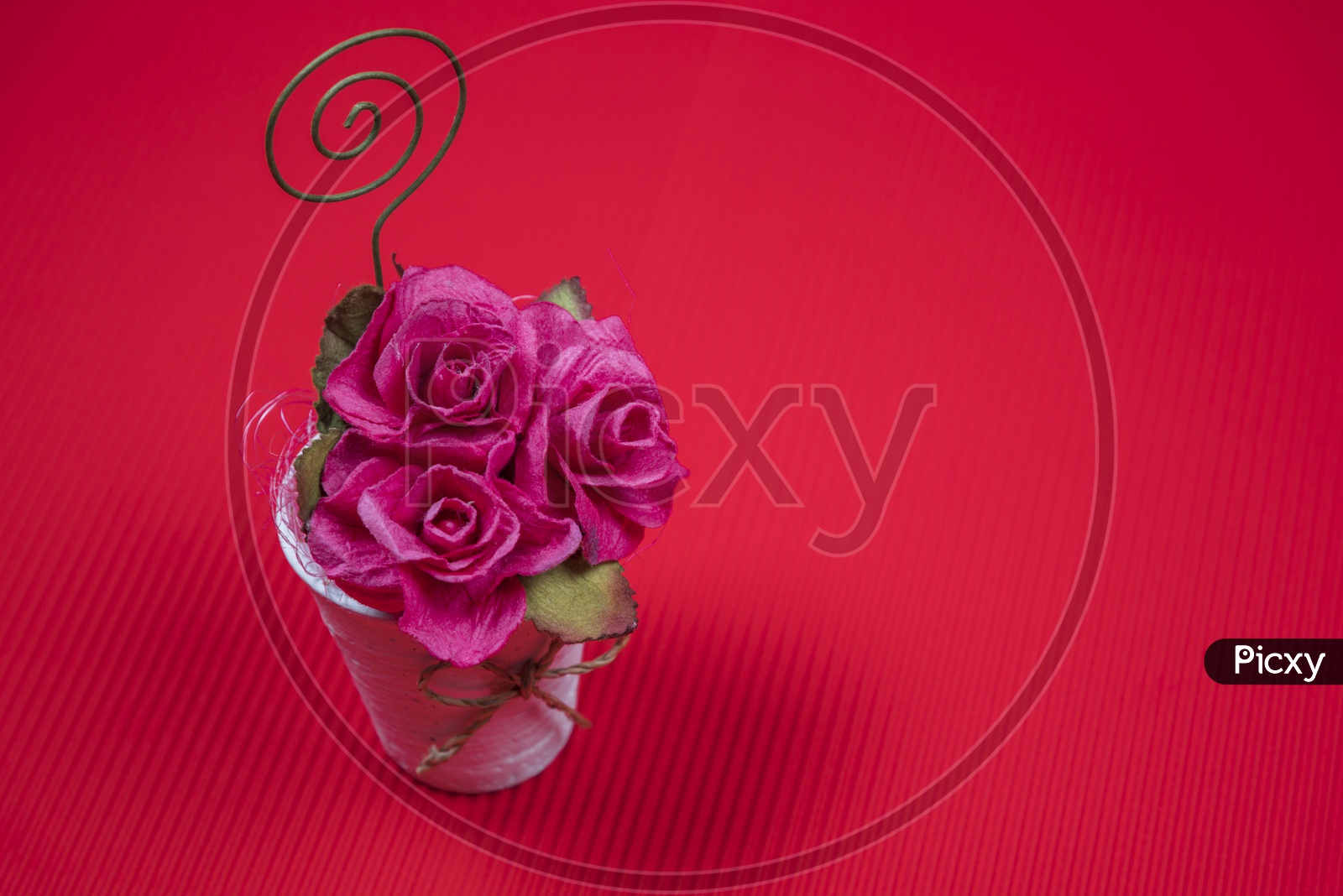 Rose Flowers Vase On an Red Isolated Background With Space