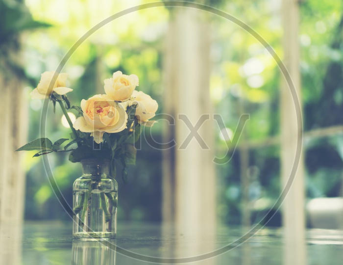 Fresh Yellow Rose  Flowers in a Flower Vase