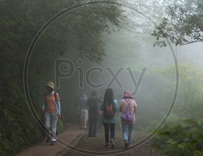 Tourists Enjoying Taking Fog Filled nature walkways  in Yangmingshan National Park