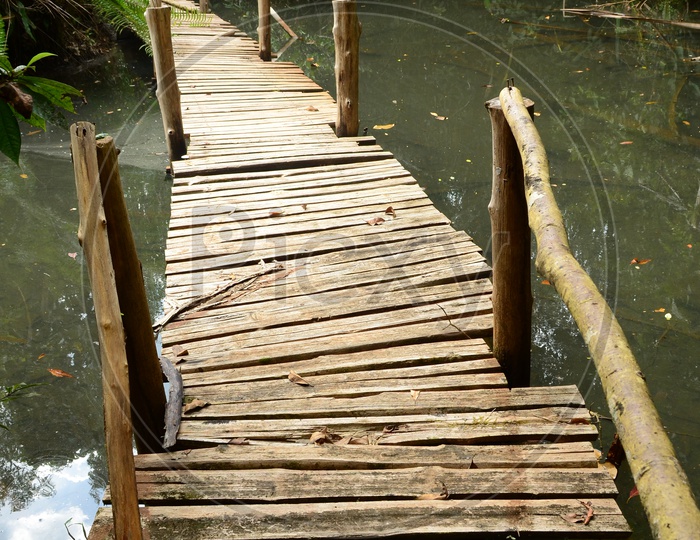Wooden Bridge Pathway on River Water Mouth In Mangrove Forests