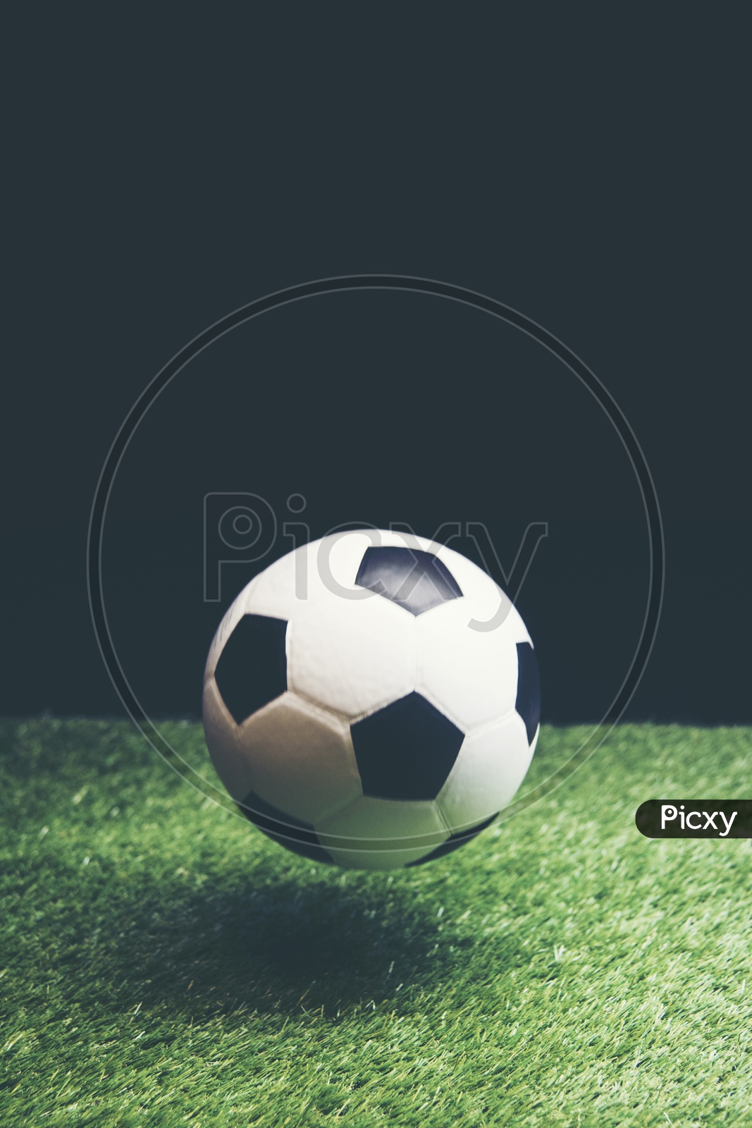Bouncing Soccer ball on grass
