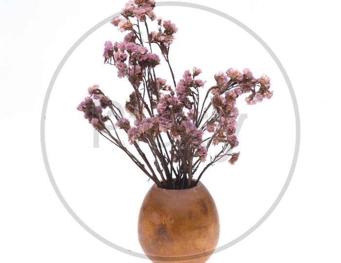 Dried pink flowers in a wooden vase isolated on white background