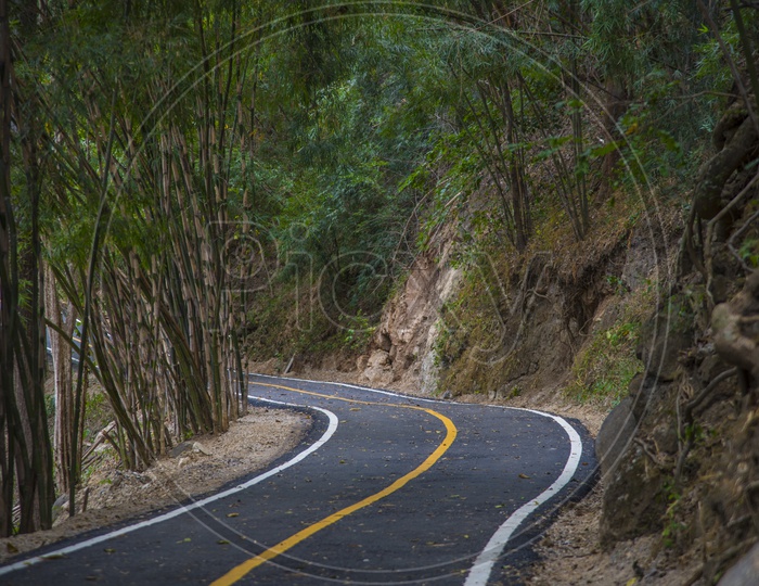 Road through mountains - Walking trail in tropical forest