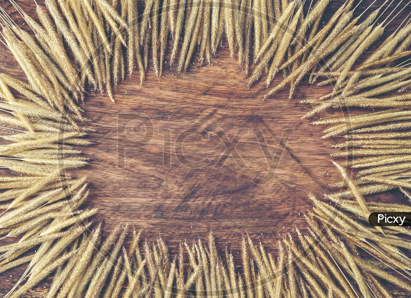 Dry grass frame on wood background with vintage filter effect