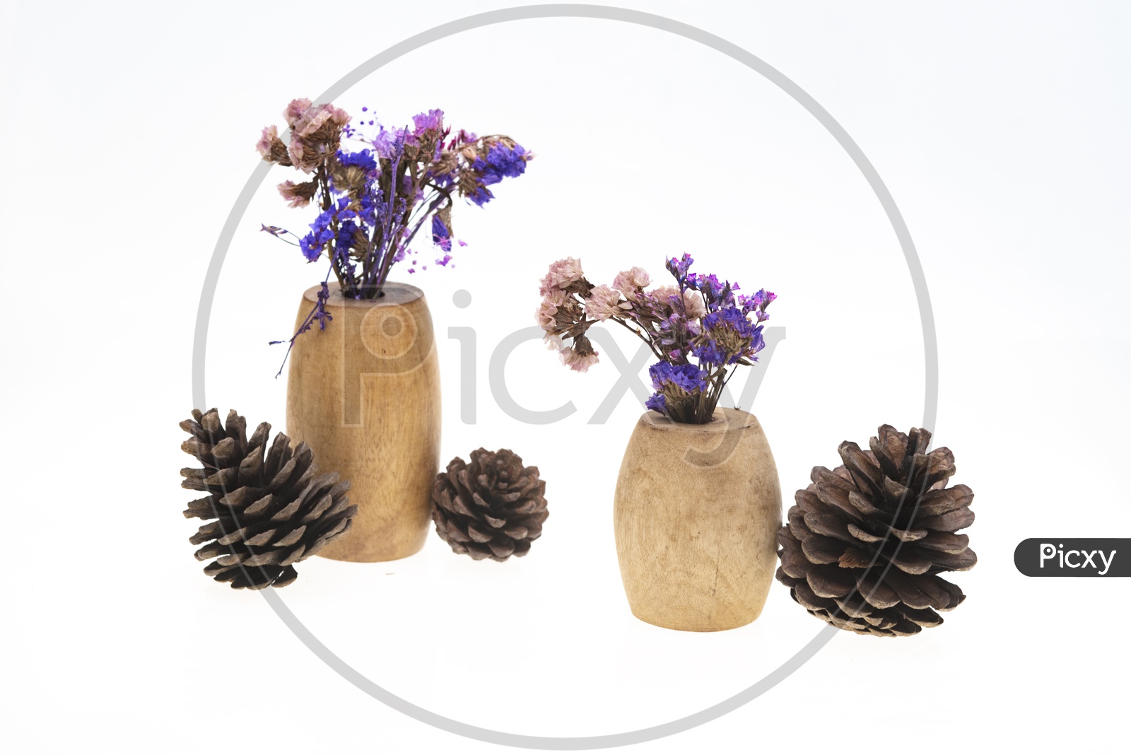 Dried vintage flowers in wooden vases and pine cones on white ground.