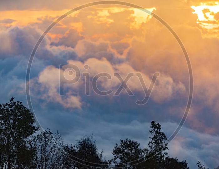 Trees, clouds during sunset. Beautiful natural landscape in the summer time