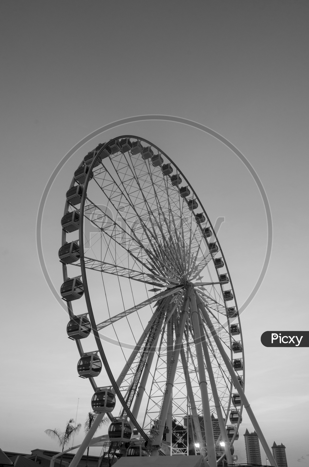 large Ferris wheel in black and white Background