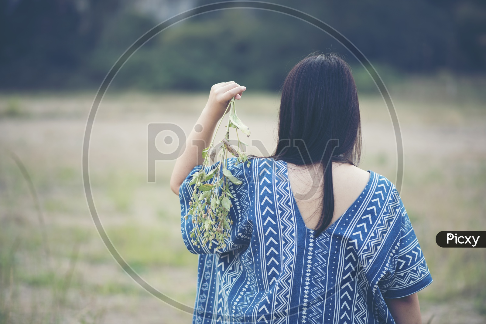 Alone Woman Walking In a Nature with Leafs In hand Wearing Summer Outfits