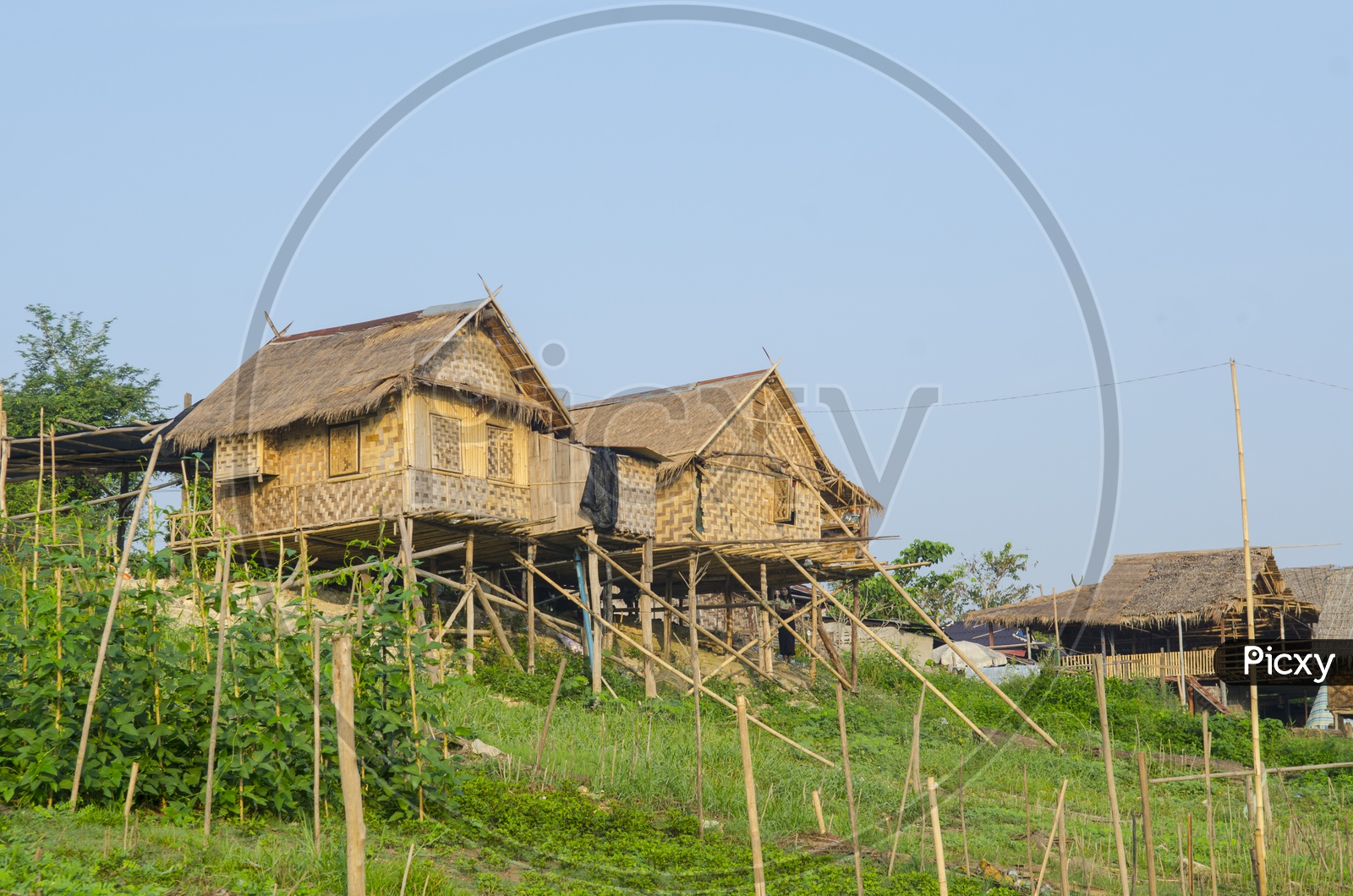 Wooden Built Huts In Terrain Lands